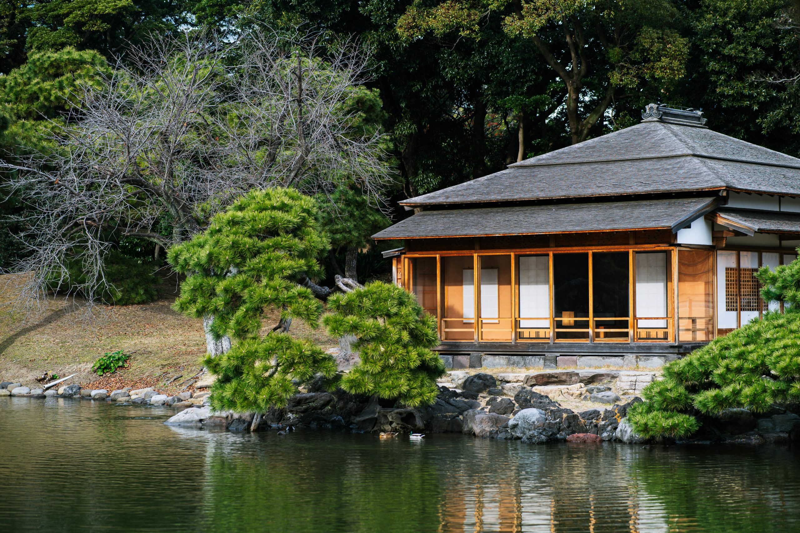 Freehold vs Leasehold in Japan: A Foreign Buyer’s Guide to Property Ownership